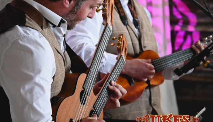 Incredible musicianship from our wandering performers